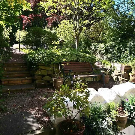 Halcyon House Konukevi 3*