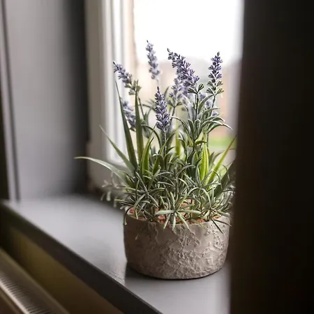 Holyrood New * Edinburgh