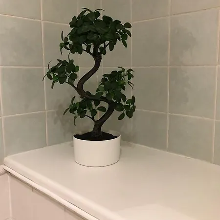 The Blair Street Lejlighed *