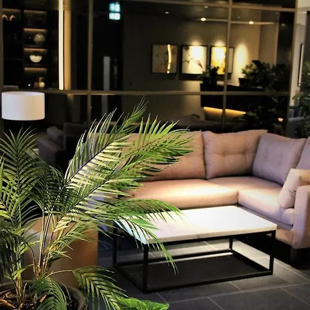 酒店 爱丁堡干草市场沃科酒店 4*