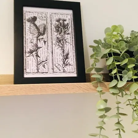 Ξενοδοχείο My-canning Street *