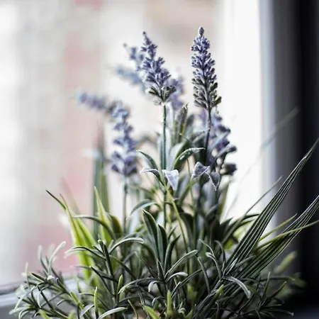 Apartman Holyrood New Edinburgh