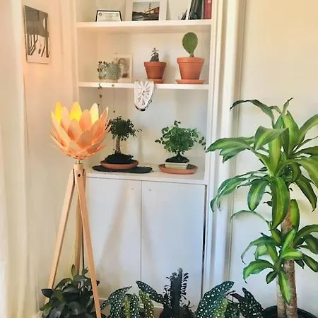 Cosy 2 Bedroom Flat In アパート