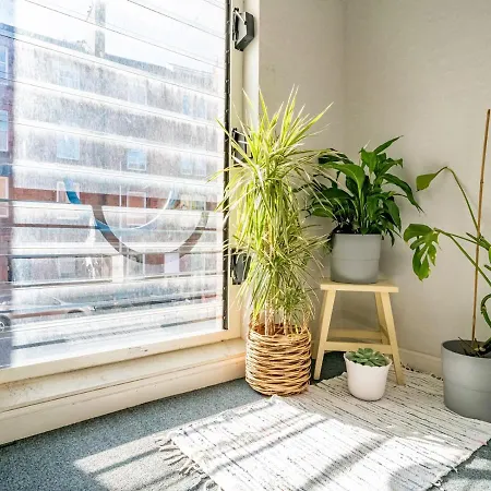 Apartment Homely 2beds Flat Near Centre, Free Parking