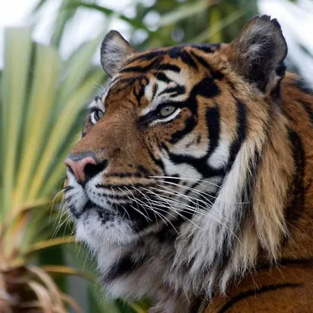 Luxury Architect Designed 13 Mins To Royal Mile