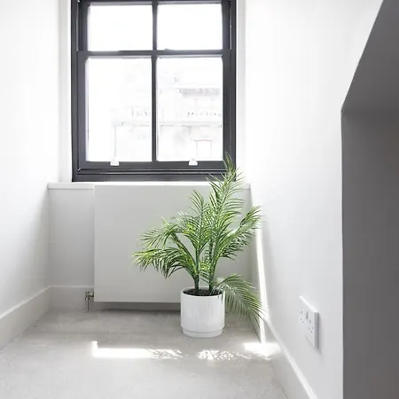 Joivy Luxury Flat Near Castle אדינבורו