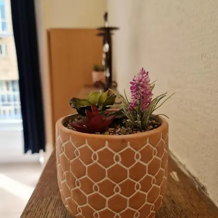 Apex Haymarket 2 Edinburg