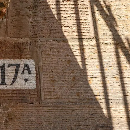 The Meadows * 爱丁堡