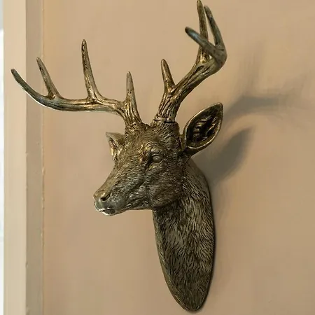 Gorgeous In The Heart Of New Town * אדינבורו