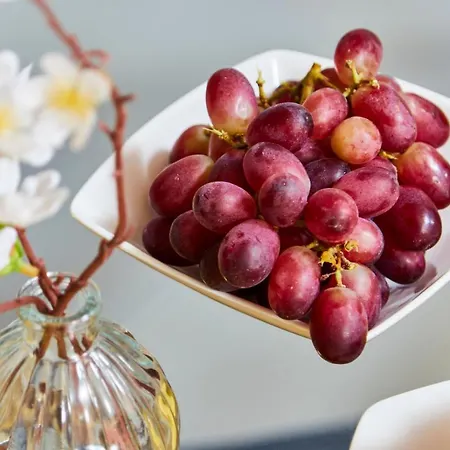 Perfect Place To Fast Free Wifi *