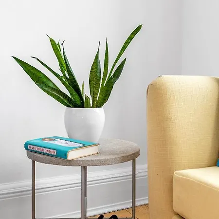 Daire Lafayette - Cozy 2br-1ba Near Princes Street By Bonjour Residences Edinburgh