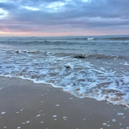 Lägenhet Loft In Joppa *