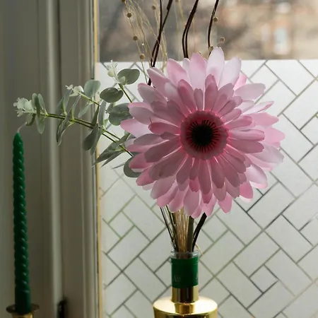 Apartament Cosy Leith Escape - Edynburg