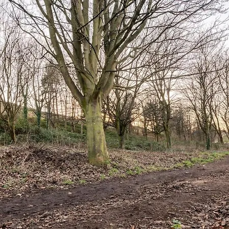 The Holyrood Park Hideaway Is A Lush & Arty 2 Double Bed Edimburgo