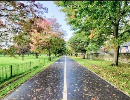 By The Meadows, Close To Centre * エディンバラ