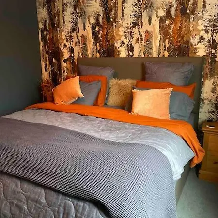 Ultra Stylish Furnished In *