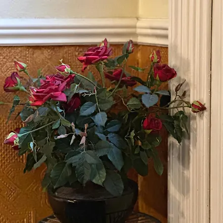 Гостевой дом Rosehall