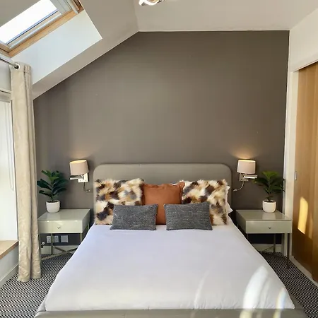 Penthouse 101 *