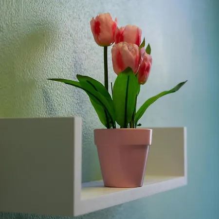 아파트 The Eden Apartment, Center 에든버러