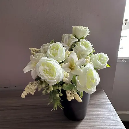 1 Bedroom In Old Town