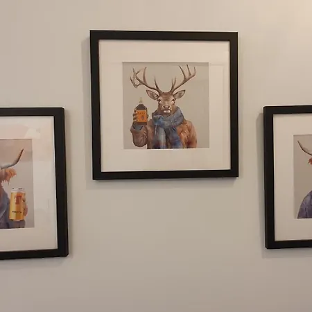 Beautiful Ground Floor Flat Near Haymarket *