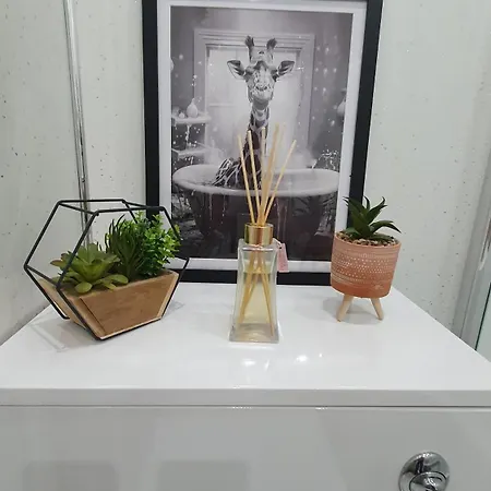 Beautiful Ground Floor Flat Near Haymarket 公寓