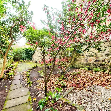 Lejlighed Guestready - Beautiful New Town Studio, With Patio *
