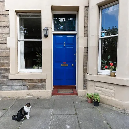 Palm Tree Apartment- Period With Cat アパート *