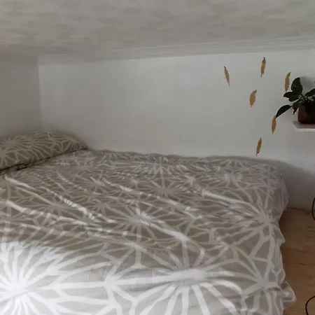 Apartamento Serene And Plant Filled One Bedroom
