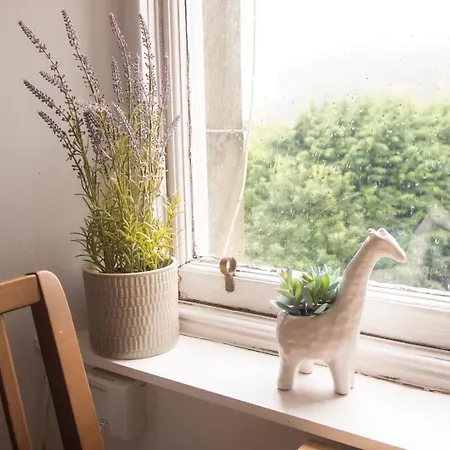 Guestready - Cozy Apt In Southside, Edinburgh! *