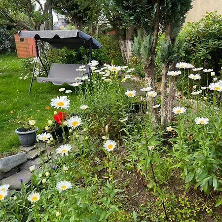 Homestay Relaxing, Cozy 1 Double Edinburgh