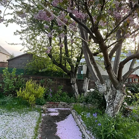 Relaxing, Cozy 1 Double Homestay Edinburgh