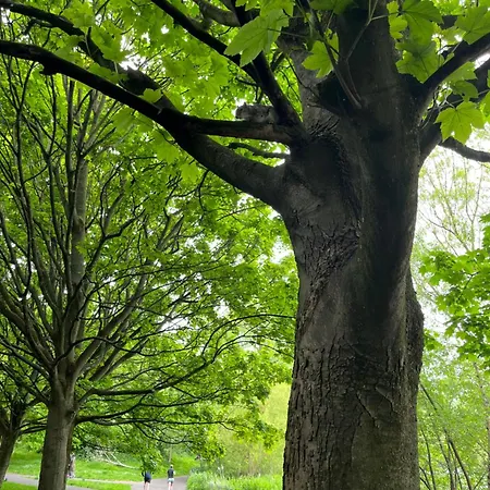 Privatunterkunft Relaxing, Cozy 1 Double *