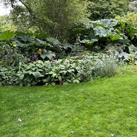 Homestay Relaxing, Cozy 1 Double Edinburgh