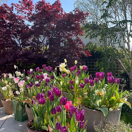 Beautiful New Double In Great Location * Edinburgh