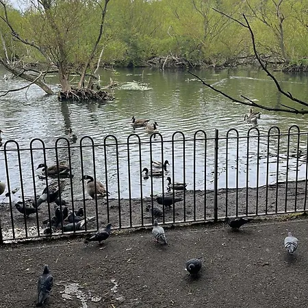 Relaxing, Cozy 1 Double Edinburgh