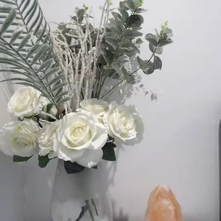 Modern 3bhk Near Zoo Appartement *