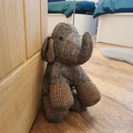 Large Bedroom, Close To Airport And Centre Edinburgh