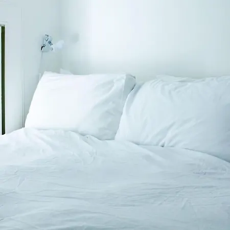 Artist Colony With Sauna And Private Garden, And Easy Walk To Centre