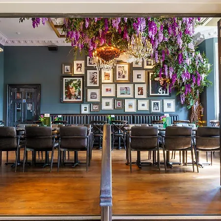 Black Ivy Hotel 4*