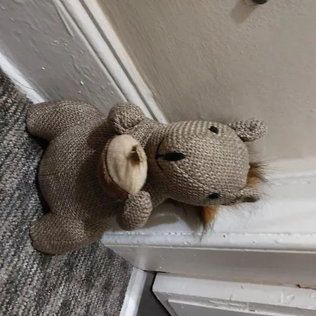 Lägenhet Ggggggg Edinburg