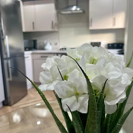Luxury Spacious 4 Dbl Br House With Free Parking Apartment *