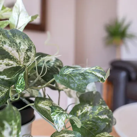 Διαμέρισμα Gorgeous, Cozy 2br Royal Mile-old Town Εδιμβούργο