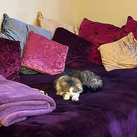 Privat bolig Relaxing, Cozy 1 Double *