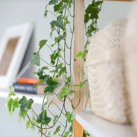 Cosy Centre Gem Apartment