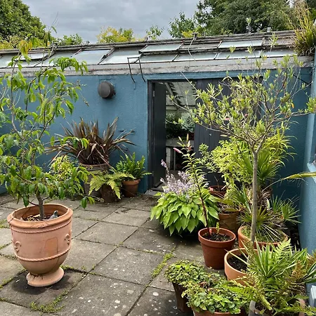 Suntrap House * Edinburg