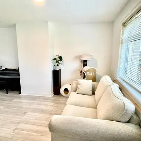 Single In 3 Bedroom House *