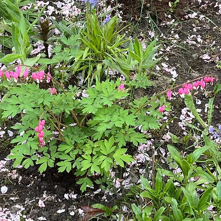 Relaxing, Cozy 1 Double Edinburgh