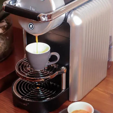 Tigerlily Эдинбург