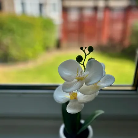 Apartment Comfy Two Bedroom Flat *